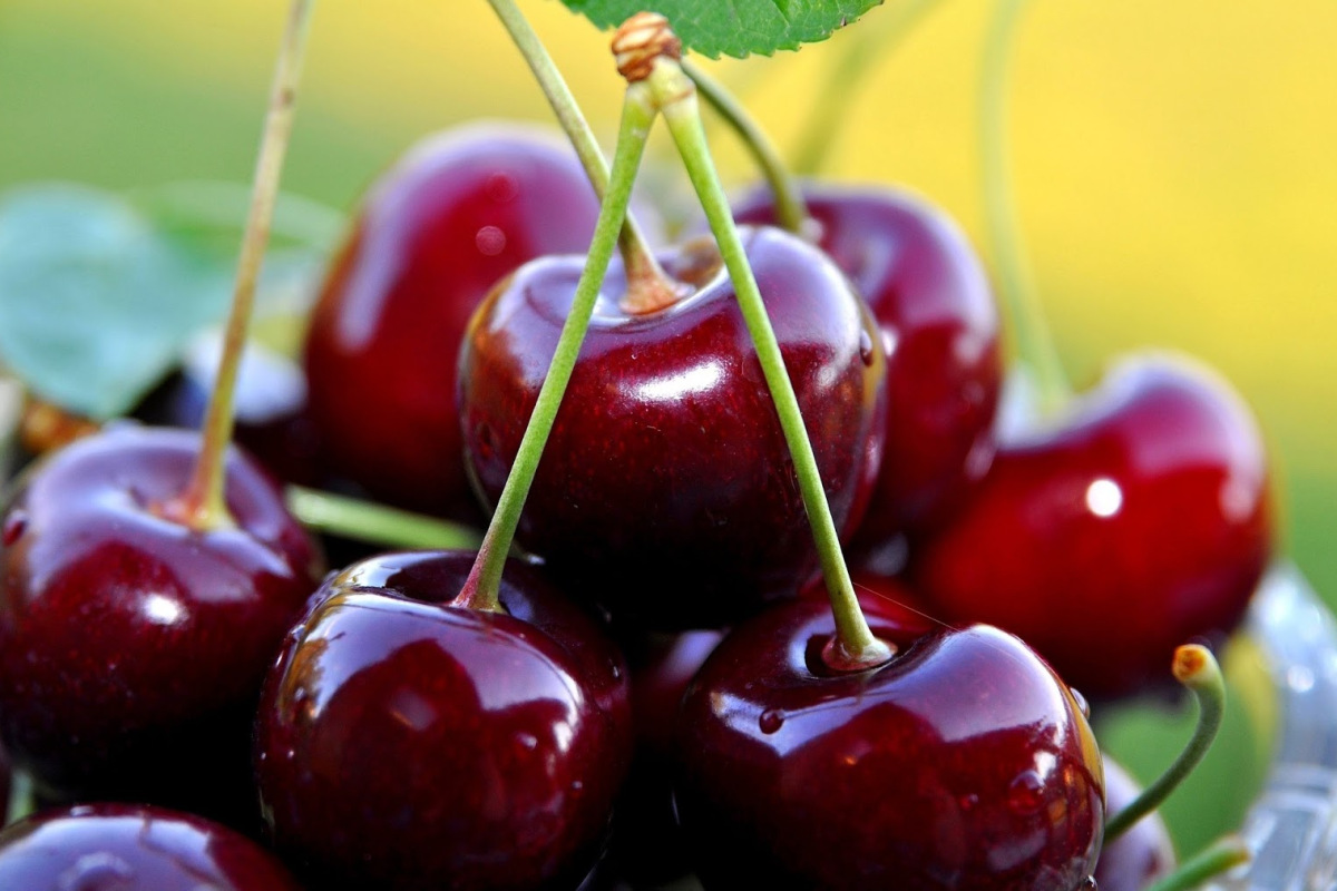 Một số cách chế biến đúng cách đề phòng chống bệnh từ cherry